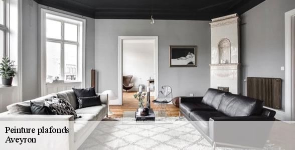 peinture-plafonds-12-5