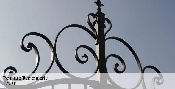 peintre-pour-peinture-ferronnerie-les-albres-12220-5