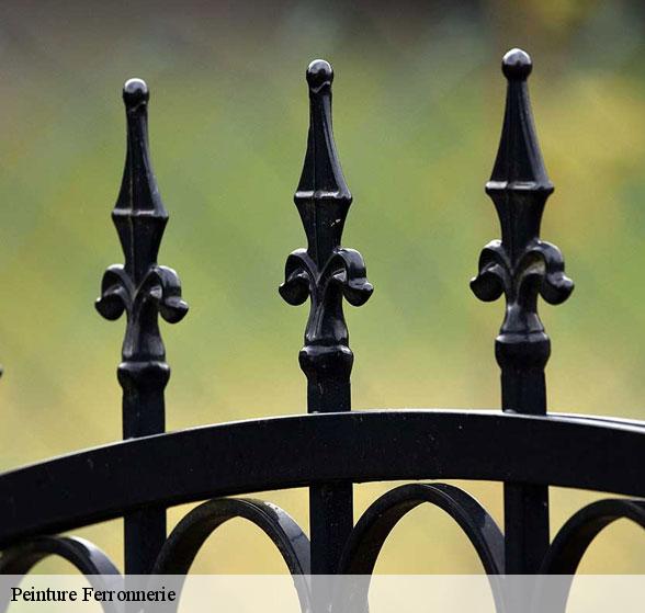 peintre-pour-peinture-ferronnerie-mayran-12390-3