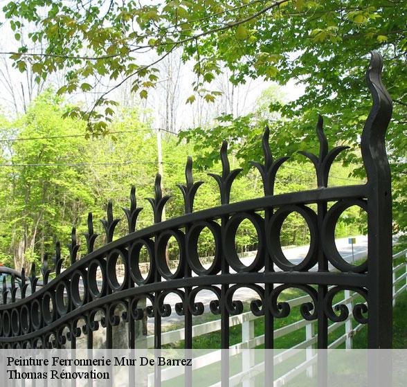 peintre-pour-peinture-ferronnerie-mur-de-barrez-12600-4