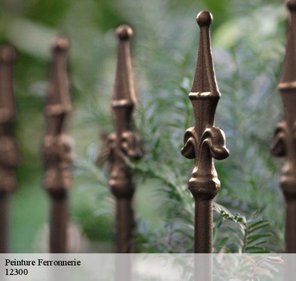 peintre-pour-peinture-ferronnerie-saint-parthem-12300-2