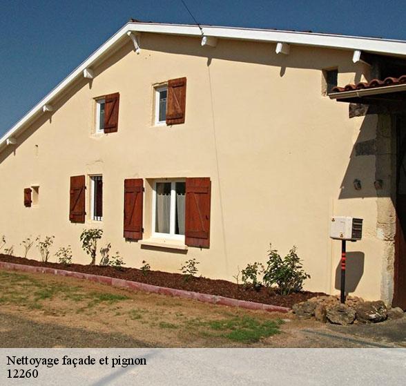 expert-en-nettoyage-facade-et-pignon-saint-igest-12260-2