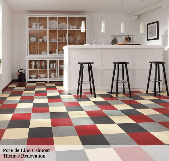 professionnel-de-la-pose-de-lino-calmont-12450-1