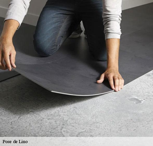 professionnel-de-la-pose-de-lino-pruines-12320-3