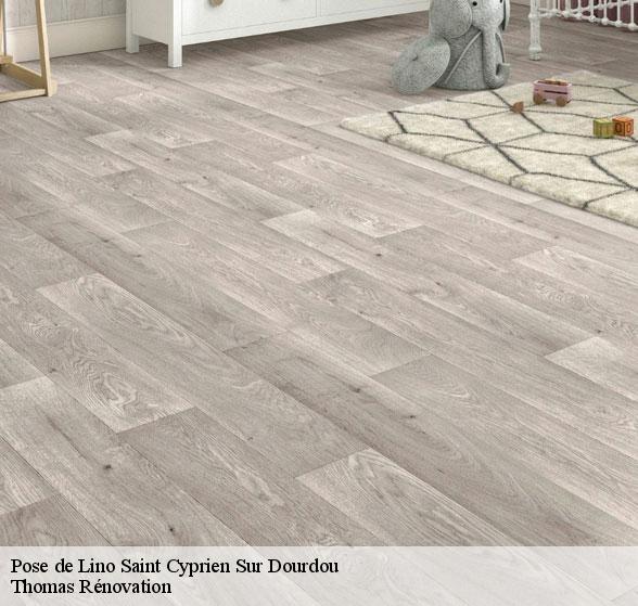 professionnel-de-la-pose-de-lino-saint-cyprien-sur-dourdou-12320-7