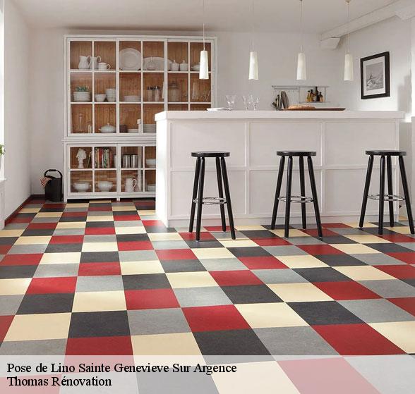 professionnel-de-la-pose-de-lino-sainte-genevieve-sur-argence-12420-1