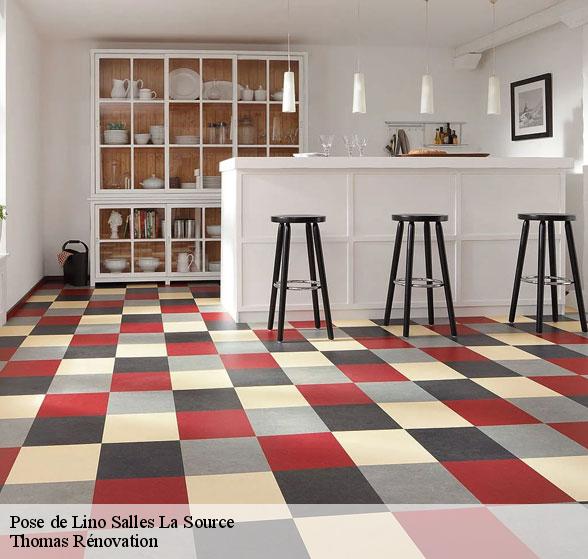 professionnel-de-la-pose-de-lino-salles-la-source-12330-1