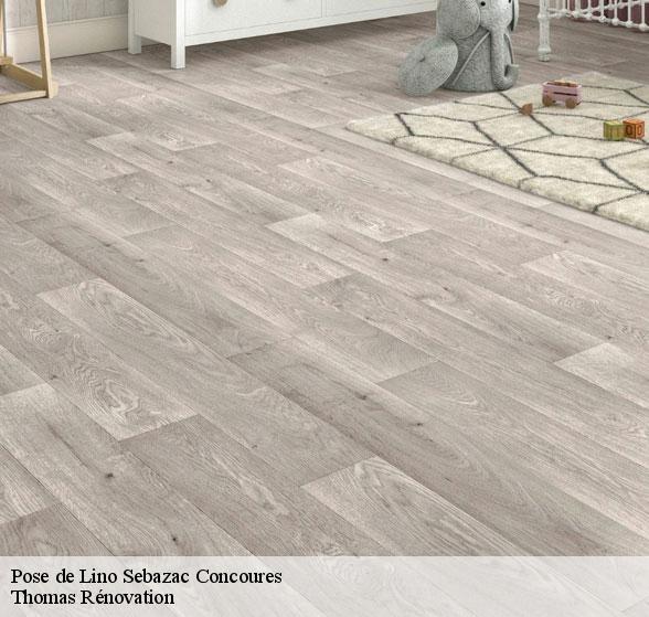 professionnel-de-la-pose-de-lino-sebazac-concoures-12740-7