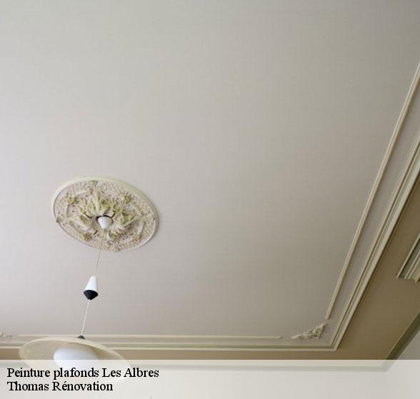 peinture-plafonds-de-qualite-les-albres-12220-7