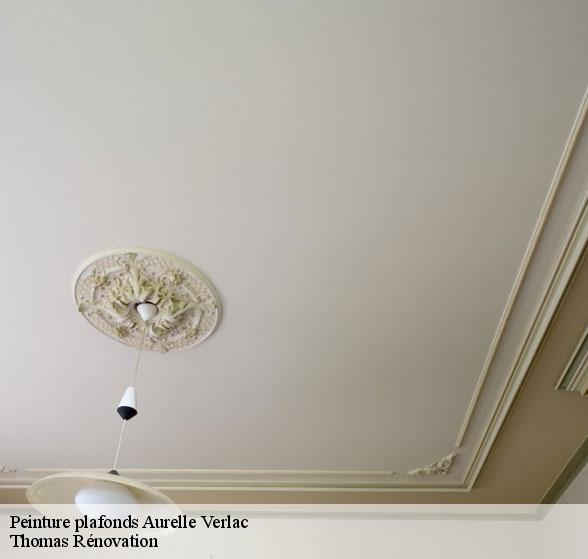 peinture-plafonds-de-qualite-aurelle-verlac-12130-7