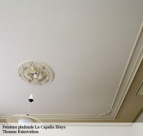peinture-plafonds-de-qualite-la-capelle-bleys-12240-7