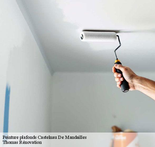 peinture-plafonds-de-qualite-castelnau-de-mandailles-12500-1