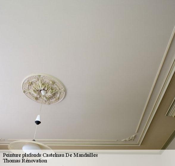 peinture-plafonds-de-qualite-castelnau-de-mandailles-12500-7