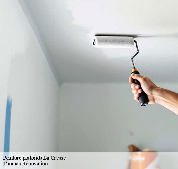 peinture-plafonds-de-qualite-la-cresse-12640-1