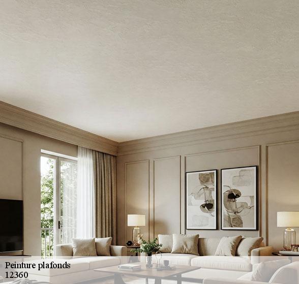 peinture-plafonds-de-qualite-melagues-12360-8