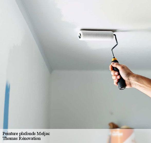 peinture-plafonds-de-qualite-meljac-12120-1