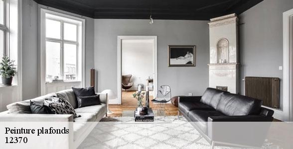 peinture-plafonds-de-qualite-murasson-12370-5