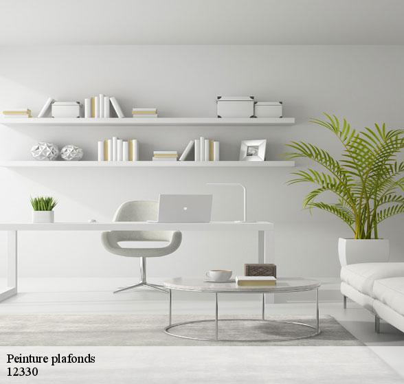 peinture-plafonds-de-qualite-nauviale-12330-2