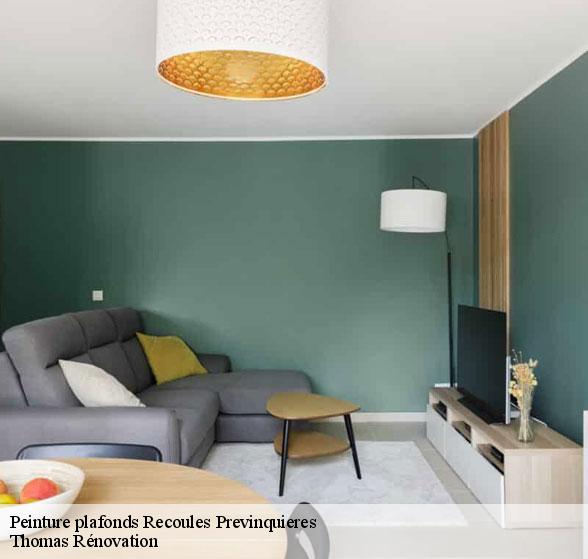 peinture-plafonds-de-qualite-recoules-previnquieres-12150-4