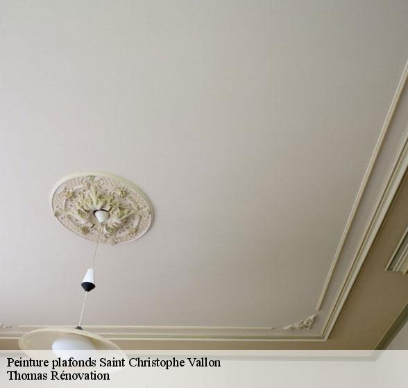 peinture-plafonds-de-qualite-saint-christophe-vallon-12330-7