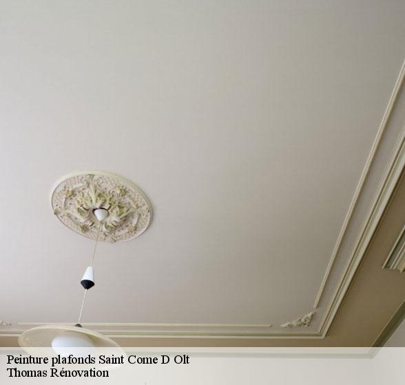 peinture-plafonds-de-qualite-saint-come-d-olt-12500-7