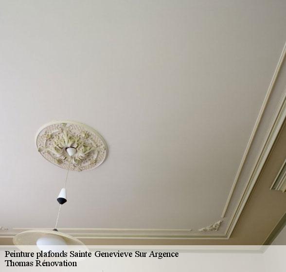 peinture-plafonds-de-qualite-sainte-genevieve-sur-argence-12420-7