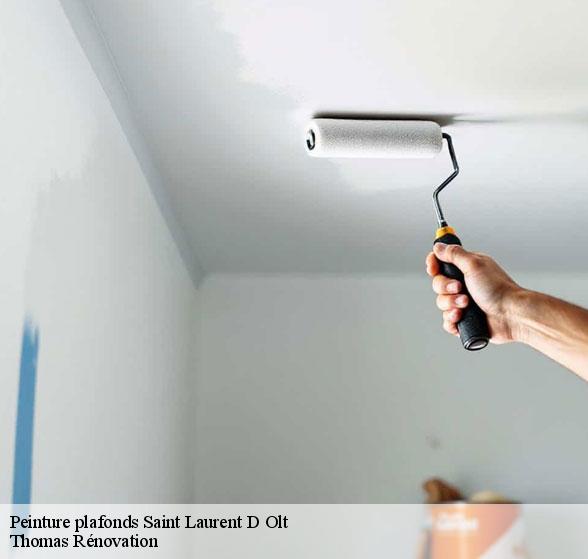 peinture-plafonds-de-qualite-saint-laurent-d-olt-12560-1