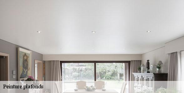 peinture-plafonds-de-qualite-saint-laurent-d-olt-12560-6