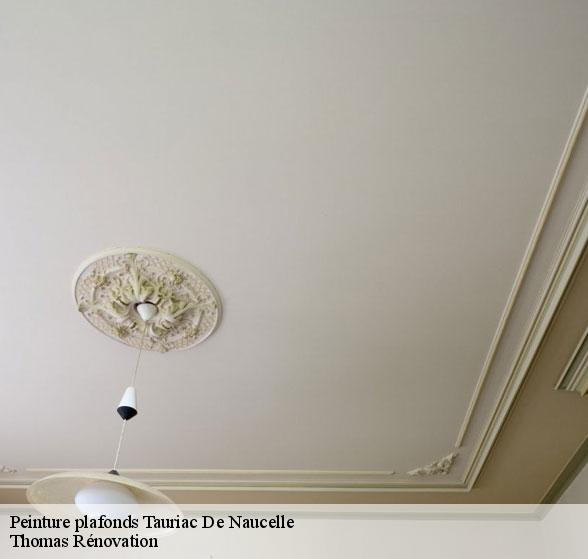 peinture-plafonds-de-qualite-tauriac-de-naucelle-12800-7