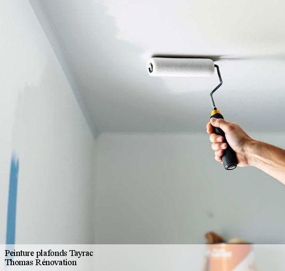 peinture-plafonds-de-qualite-tayrac-12440-1