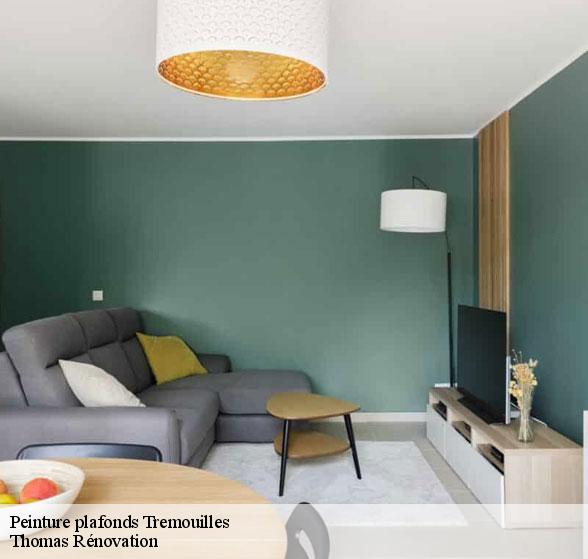 peinture-plafonds-de-qualite-tremouilles-12290-4