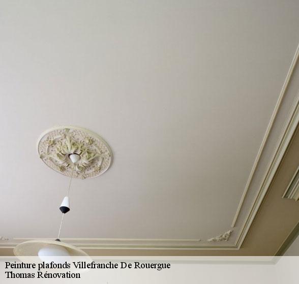 peinture-plafonds-de-qualite-villefranche-de-rouergue-12200-7