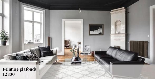 peinture-plafonds-de-qualite-la-mothe-12800-5