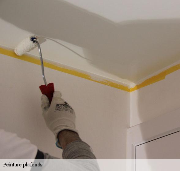 peinture-plafonds-de-qualite-melvieu-12400-3