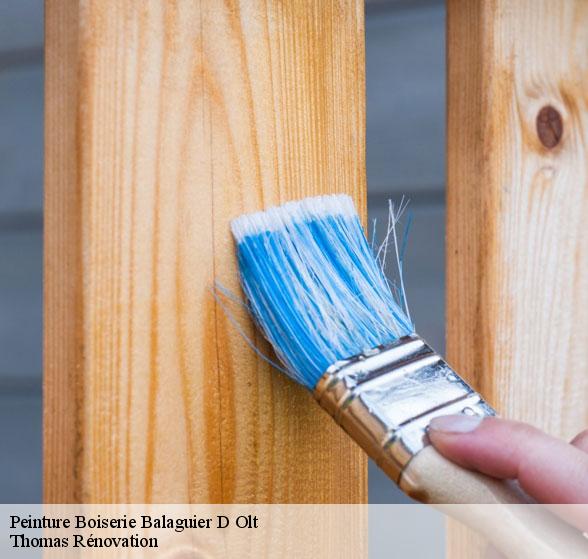 pose-de-peinture-boiserie-balaguier-d-olt-12260-4