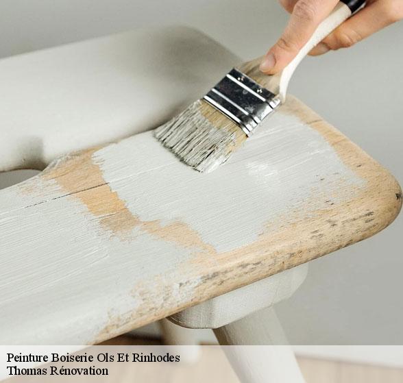 pose-de-peinture-boiserie-ols-et-rinhodes-12260-1