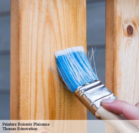 pose-de-peinture-boiserie-plaisance-12550-4