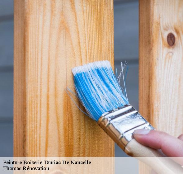 pose-de-peinture-boiserie-tauriac-de-naucelle-12800-4