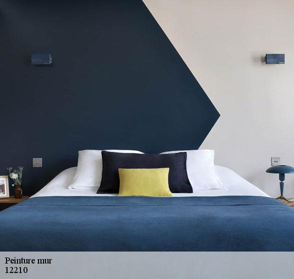 expert-en-peinture-mur-alpuech-12210-2