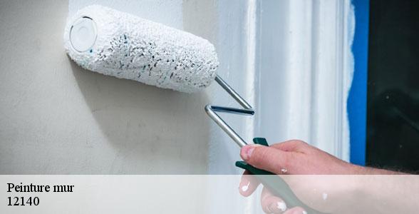 expert-en-peinture-mur-campouriez-12140-5