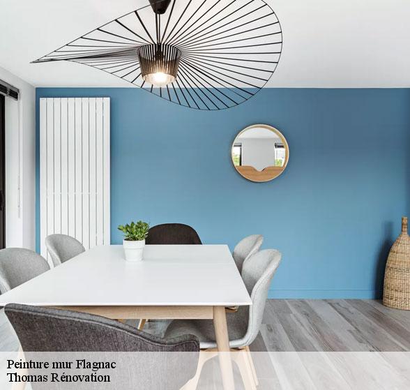 expert-en-peinture-mur-flagnac-12300-4