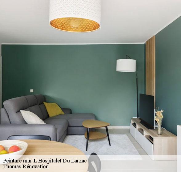expert-en-peinture-mur-l-hospitalet-du-larzac-12230-1