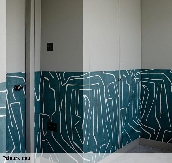 expert-en-peinture-mur-peux-et-couffouleux-12360-3