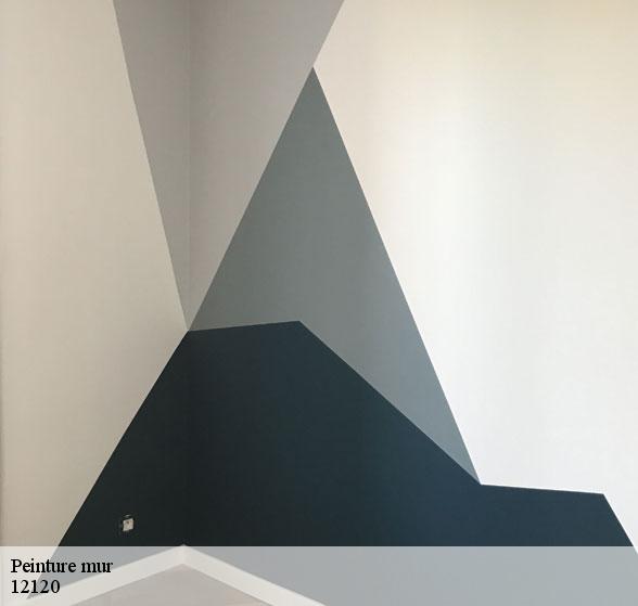 expert-en-peinture-mur-sainte-juliette-sur-viaur-12120-8
