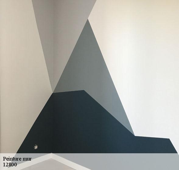 expert-en-peinture-mur-tauriac-de-naucelle-12800-8