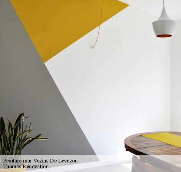 expert-en-peinture-mur-vezins-de-levezou-12780-7