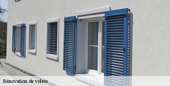 renovation-de-volets-par-un-professionnel-palmas-12310-6