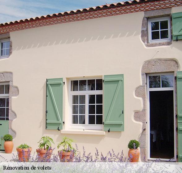 renovation-de-volets-par-un-professionnel-saint-beaulize-12540-3