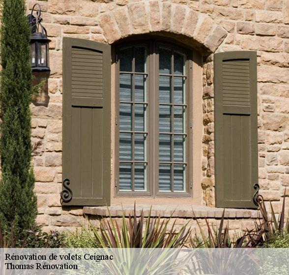 renovation-de-volets-par-un-professionnel-ceignac-12450-1