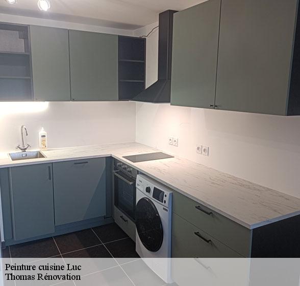 pose-de-peinture-cuisine-luc-12450-1